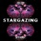Stargazing (feat. jUjU) - $yrup lyrics