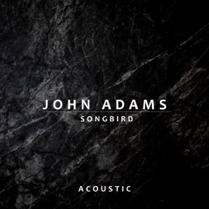 Songbird (Acoustic) - Single
