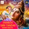 Damroo Shiv Tandav-Shahid Mallya artwork