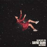 Falling Into You (Radio Edit) [Radio Edit] - Single - David Dann & Nazzereene