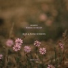 Where To Begin (Rain & Piano Sessions: Session I) - Single