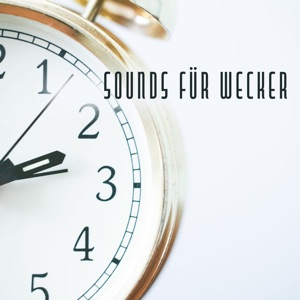 Sounds für Wecker