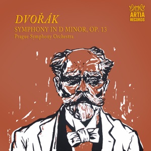 Symphony In D Minor, Op. 13