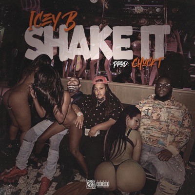 Shake It - Single