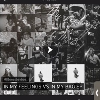 In My Feelings Vs In My Bag - Bones baybee law$