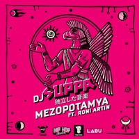 Mezopotamya (feat. Roni Artin) - Single - Dj Suppa