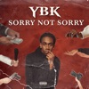 Sorry Not Sorry - Single