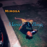 Mimosa - Single - Boogz & D.Marin0