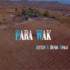 Para Wak (feat. Dindi Spray) - Single