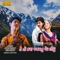 Te to Kaya Janamnu Ver Lidhu - Rajdeep Barot & Vanita Barot lyrics