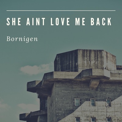 She Ain't Love Me Back - Single