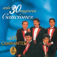 Amor Sin Palabras - Los Caminantes