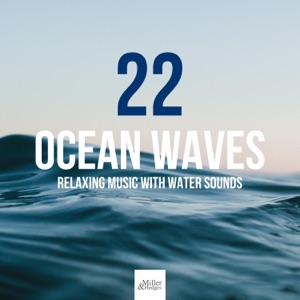 22 Ocean Waves: Relaxing Music with Water Sounds, Sea Waves, Ocean, Rain, Stream, Nature Sounds