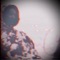Blood Rushing (feat. Yung Catscratch) - Lil Exosphere lyrics
