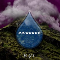 Raindrop - Single - KVI