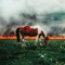 HOLY SMOKE! (feat. Jon Keith) - Indie Tribe., nobigdyl. & Jon Keith lyrics