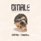 Omale (feat. Teephlow) - CEDI RAP lyrics