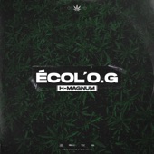 Ecol’O.G artwork