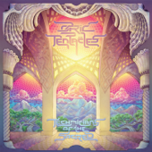 Technicians of the Sacred - Ozric Tentacles