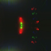 Tommy Pickles: The Remixes - Single - Slawth