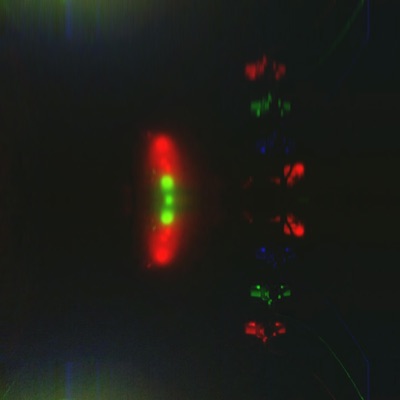 Tommy Pickles: The Remixes - Single