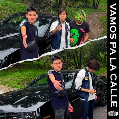 Vamos Pa' la Calle (feat. Doxer Weed) - Single