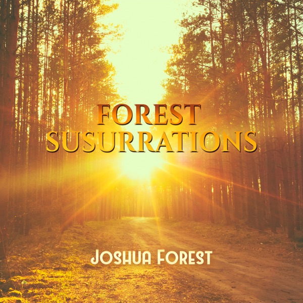 Forest Susurrations - Pebbles on the Beach - Piano and Birds Singing - Rain Sounds HD - Surf Beach Campfire