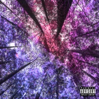 No Puedo Dejar de Pensarte - Single - Stelly