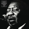 Muddy Waters