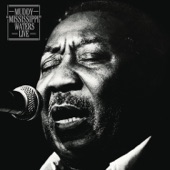 Muddy "Mississippi" Waters Live (Legacy Edition) artwork