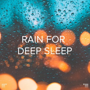 !!!" Rain for Deep Sleep "!!!