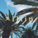 ㅊ I l l I n - EP - lofi