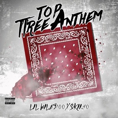 Tree Top Anthem (feat. Skii.40) - Single
