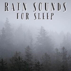 Rain Sounds For Sleep - Single