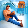 License to Chill - Jimmy Buffett