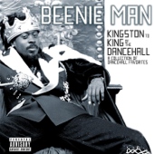 Girls Dem Sugar (feat. Mya) - Beenie Man Cover Art