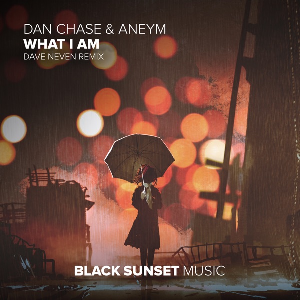 What I Am (Dave Neven Remix) - Single