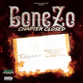 That Sounds Gone Zo