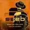 What Do You Love (feat. Jacob Banks) - Seeb lyrics