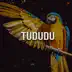 Tududu - Single album cover