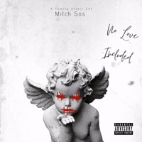 No Love Included - Mitch Sos