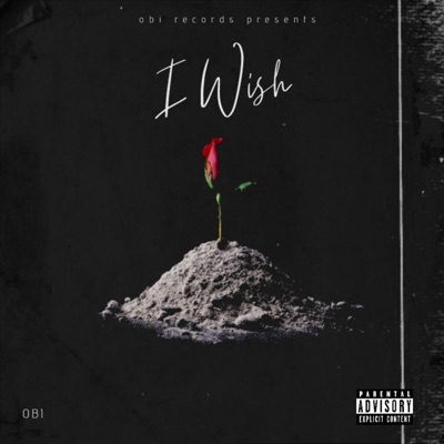 I Wish - Single