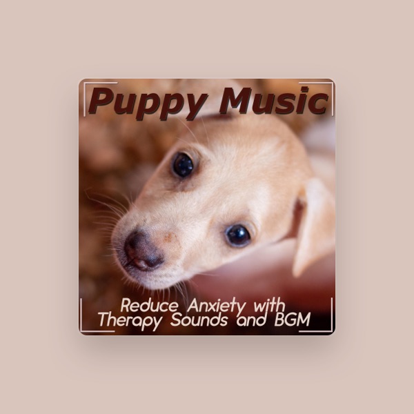 Puppy Music Dreams's avatar