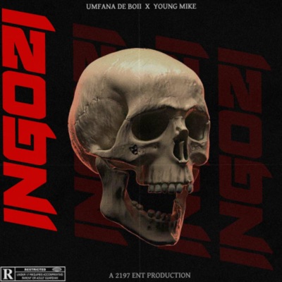 INGOZI (feat. Umfana De Boii) - Single