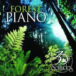 Forest Piano (30th Anniversary)