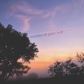 Blame Yourself Adapt.