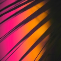 Hopeless Optimist - Single - kevkov