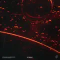 Ytram feat. Elderbrook