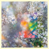 Bubbles at Overlook 25th March 2019 by Four Tet