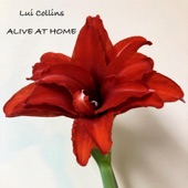 Lui Collins - Shady Grove - Live